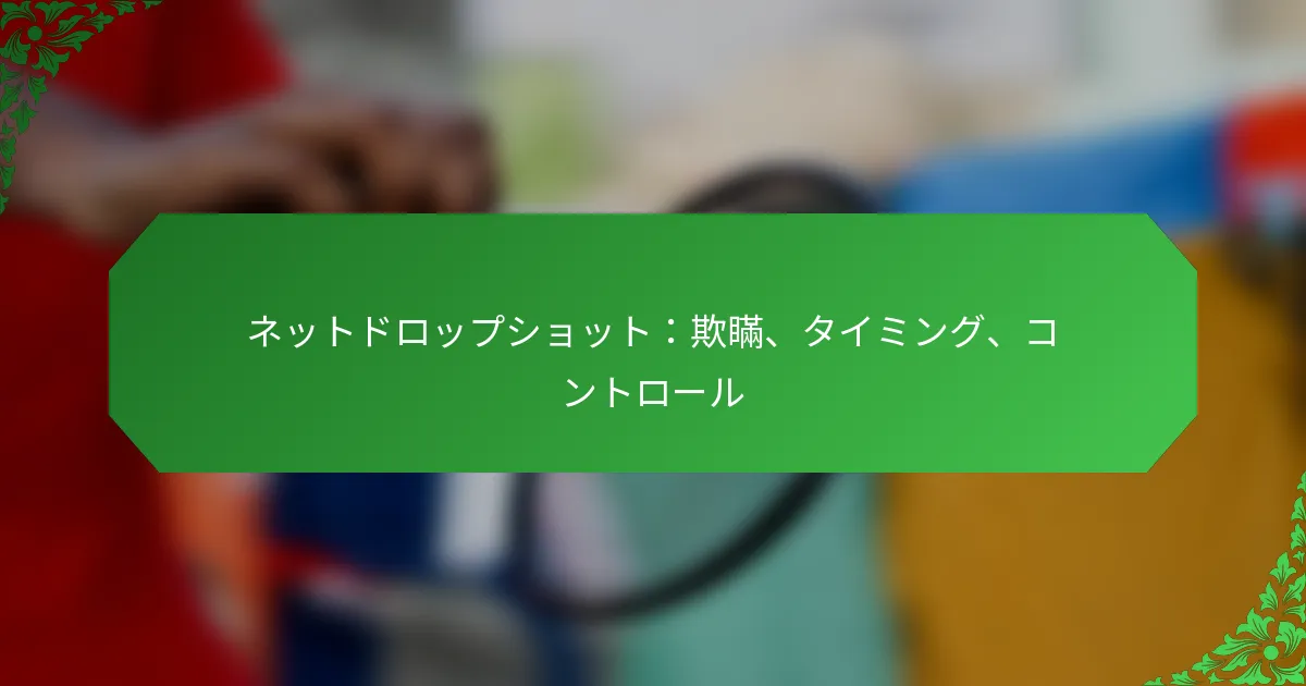 ネットドロップショット：欺瞞、タイミング、コントロール